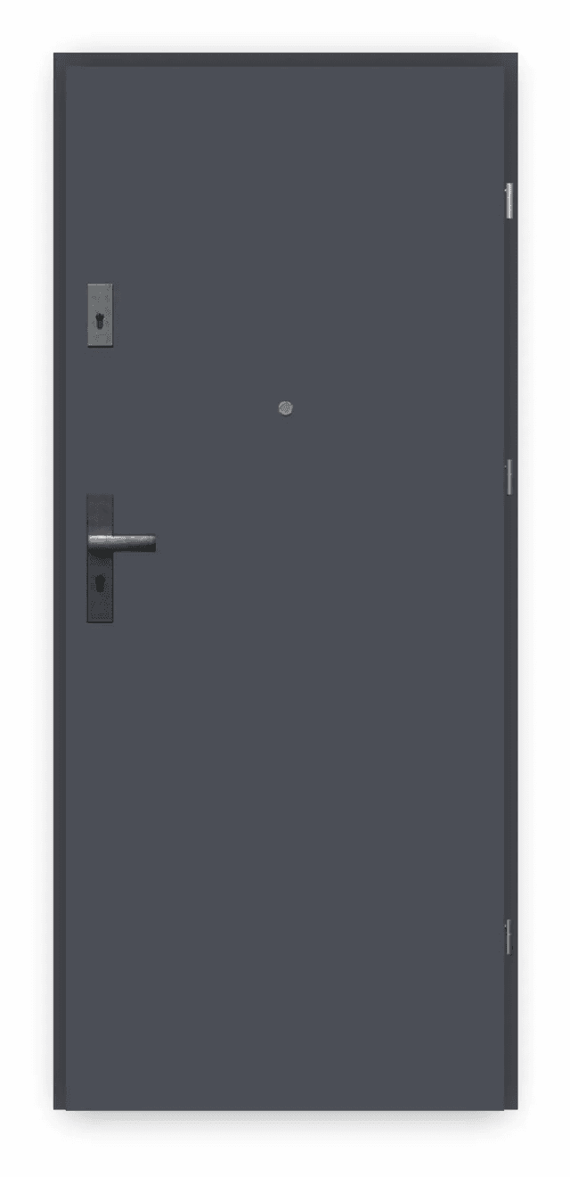 Drzwi Wejściowe Opal Prawe 80 Antracyt, SPEO0P0P082NCJSL30O000, PORTA
