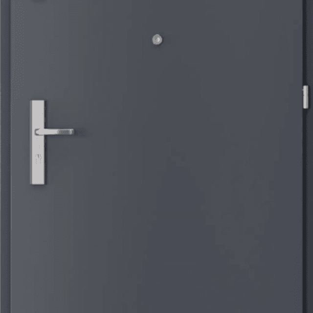 Drzwi Wejściowe Opal Prawe 80 Antracyt, SPEO0P0P082NCJSL30O000, PORTA