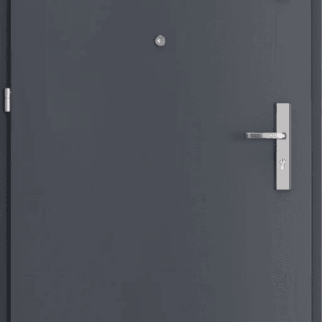 Drzwi Wejściowe Opal Lewe 80 Antracyt, SPEO0P0L082NCJSL30O000, PORTA